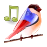 birds sounds relax and sleep android application logo